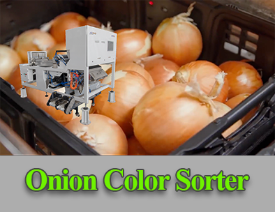 Soğan, Sarımsak vb. Sebze Ürünlerinin Temizlenmesi ve Seçilmesi İçin Bant Renk Ayırıcı
        