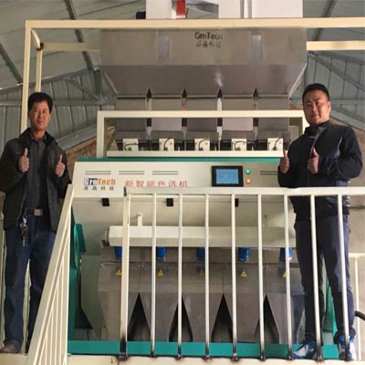 gansu, Çin'de mısır renk sıralayıcı makinesi