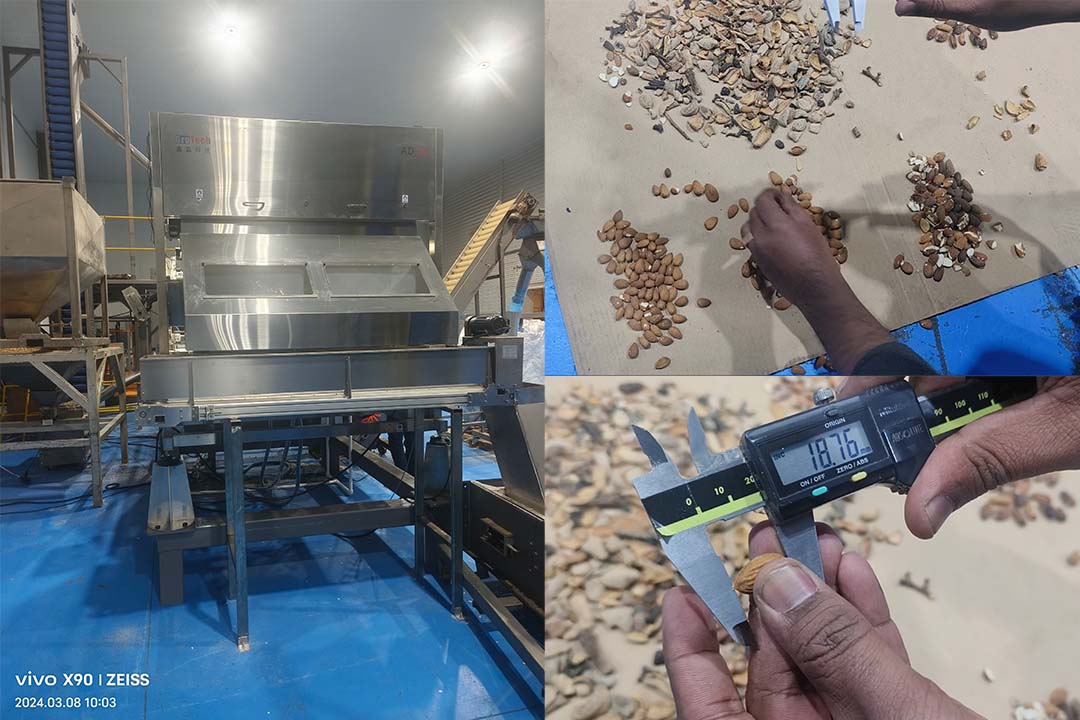 The nut color sorter separates almonds of a specific length