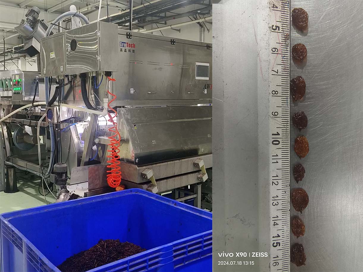 GroTech's AI Color Sorting Machine Application in the Raisin Sorting Industry