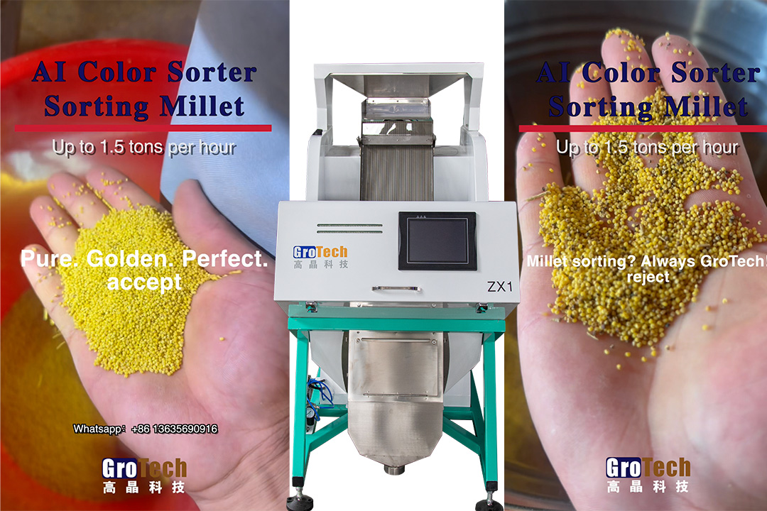 Millet color sorter machine price