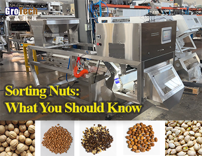 Sorting Nuts: What You Should Know