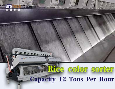 sergide kemer renk sıralayıcı ve oluk renk sıralayıcı ， pirinç renk sıralayıcı kapasitesi saatte 12 ton
