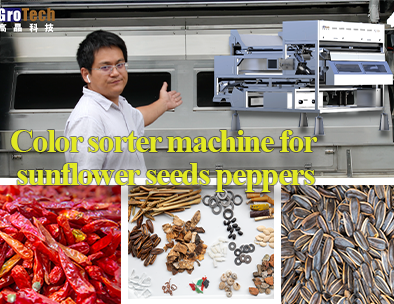 Derin Öğrenme ile ayçiçeği tohumları için renk ayırma makinesi, AI tanıma
        