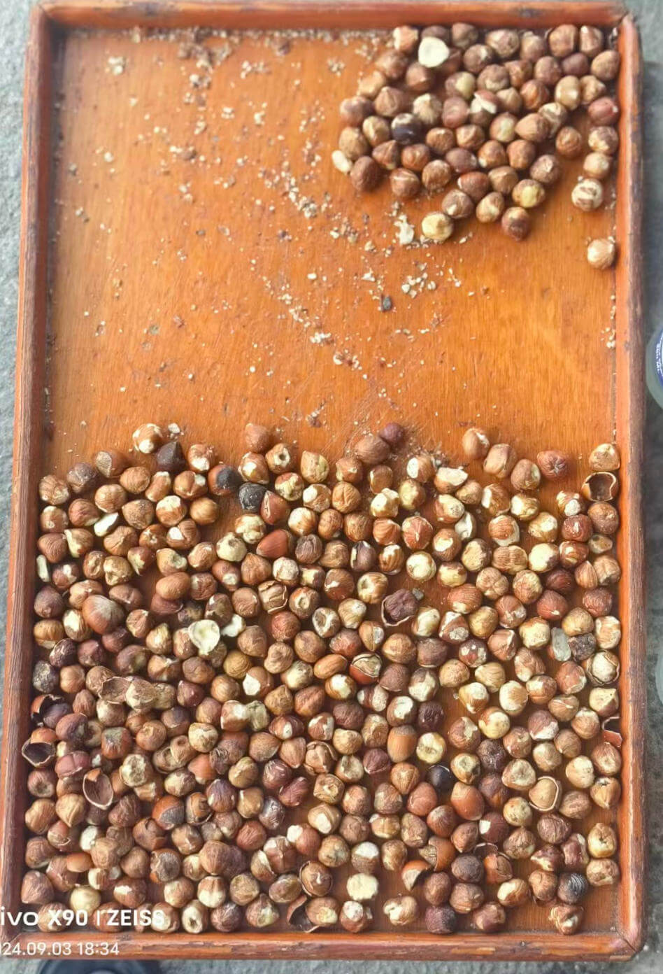 Revolutionizing the Turkish Hazelnut Industry: The AI Standard with GroTech AD120